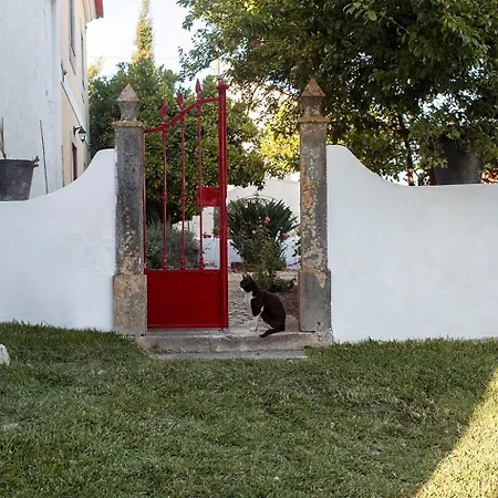 Casa Alfazemas 公寓